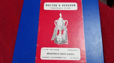 program Brighton - Hove Albion foto