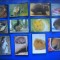 HOPCT LOT NR 56 / 12 CARTONASE -ANIMALE ROZATOARE / FAUNA- ITALIA