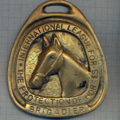 AX 141 MEDALIE -LIGA INTERNATIONALA DE PROTECTIE A CAILOR -BRIGADIER