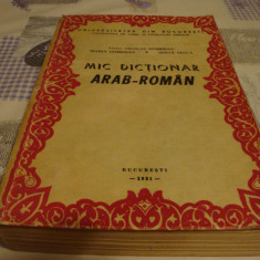 Mic dictionar arab roman - 1981