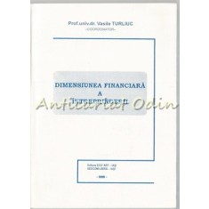 Dimensiunea Financiara A Intreprinderii - Vasile Turliuc