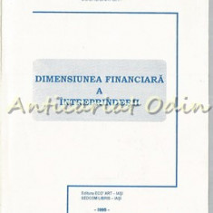 Dimensiunea Financiara A Intreprinderii - Vasile Turliuc