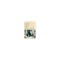 Some Sort of Epic Grandeur: The Life of F. Scott Fitzgerald (REV)