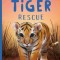 Little Tiger Rescue