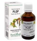 Extract din muguri de plop 50ml
