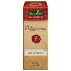 POLYGEMMA NR. 7 50ML(CAI URINARE) foto