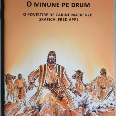 Saul - O minune pe drum - Carine Mackenzie