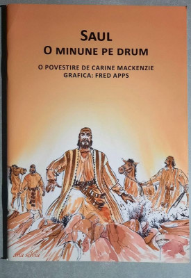 Saul - O minune pe drum - Carine Mackenzie foto