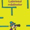 Eduardo Mendoza - Labirintul măslinelor