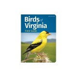 Birds of Virginia Field Guide