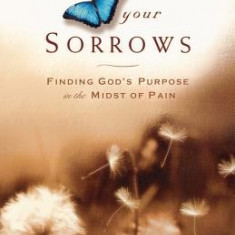 Don't Waste Your Sorrows: Finding God's Purpose in the Midst of Pain