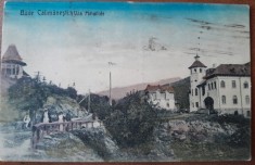 Carte postala, Calimanesti, vila Mihailide, 1924