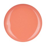 Glitter Gel Cupio Sugarbaby