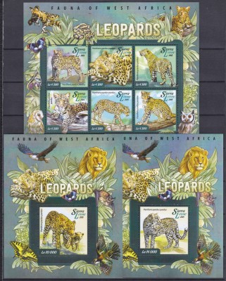 DB1 Fauna Africana Sierra Leone Leopard MS +2 x SS MNH foto