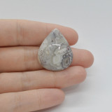 Cabochon agat crazy lace 29x24x6mm c54