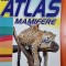 Atlas mamifere - Dumitru Murariu Aurora Mihail