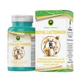 Royal LactoImun 60 capsule Hypericum, Hypericum Plant