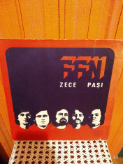 -Y- FFN - ZECE PASI DISC VINIL LP foto