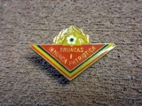 Insigna pionier - PIONIER FRUNTAS IN MUNCA PATRIOTICA CL 1 VARIANTA MICA 3X2.2 cm