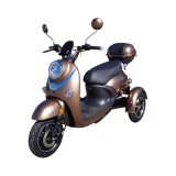 Triciclu electric Thor Spyder maro, 800W, baterie 60V 20Ah