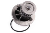 HEPU P346 Pompă de apă, răcire motor