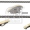 FEBI BILSTEIN 104145 chit lant de distributie