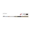 Lanseta Carp Zoom Tele Allround 100 3.00m 50-100g