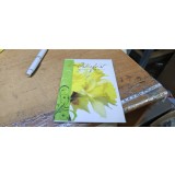 Felicitare germana Paste #B0088