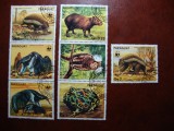 PARAGUAY 1985 SERIE FAUNA PROTEJATA