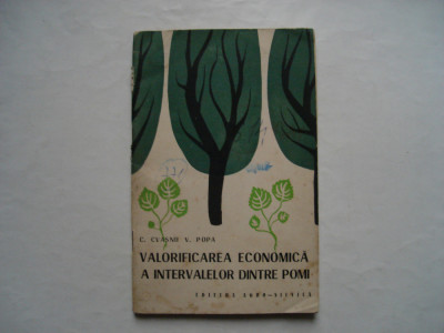 Valorificarea economica a intervalelor dintre pomi - C. Cvasnii, V. Popa foto