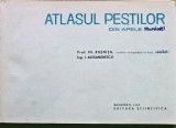 Atlasul peștilor din apele RPR - 1963 - I. Alexandrescu (XD351)