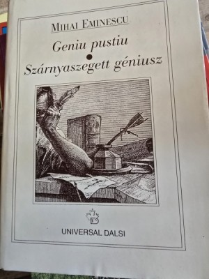 Geniu Pustiu. Szarnyaszegett geniusz - Mihai Eminescu foto
