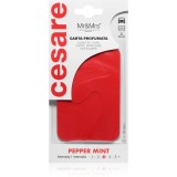 Mr &amp; Mrs Fragrance Cesare Peppermint card parfumat 1 buc