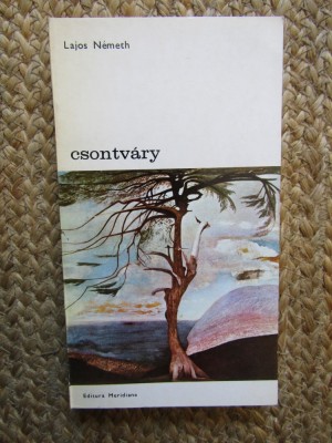 Csontvary- Lajos Nemeth foto