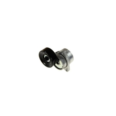 Intinzator curea NISSAN PRIMERA combi WP12 DAYCO APV3023 foto