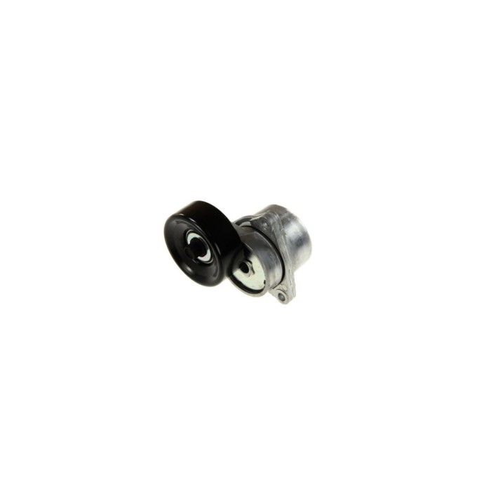 Intinzator curea NISSAN PRIMERA combi WP12 DAYCO APV3023