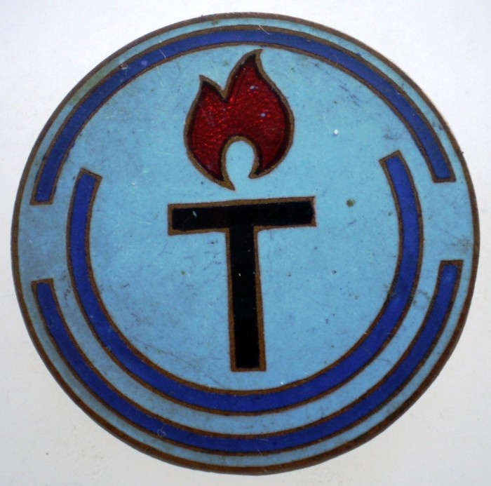 II.082 INSIGNA T FLACARA
