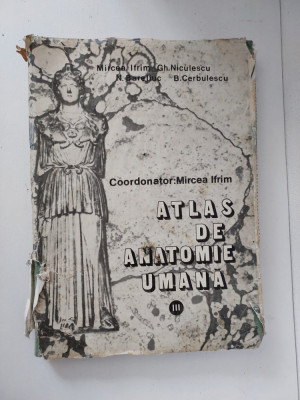 ATLAS DE ANATOMIE UMANA - MIRCEA IFRIM - VOL 3 foto