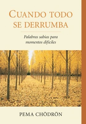 Cuando Todo Se Derrumba (When Things Fall Apart): Palabras Sabias Para Momentos Dificiles foto