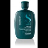Sampon Reconstruction Reparative, 250ml, Alfaparf