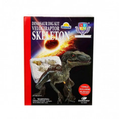 Set educativ descopera scheletul de Velociraptor Sunman 1