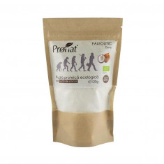 Pudra Proteica Bio din Nuca de Cocos Pronat 120gr