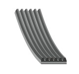 Febi Bilstein Curea transmisie cu caneluri