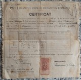 Certificat Invatamantul Primar Urban din Romania 1917
