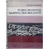 FLISUL PALEOGEN DIN BAZINUL VAII MOLDOVEI-LIVIU IONESI-224850