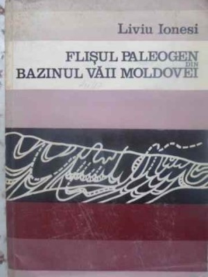 FLISUL PALEOGEN DIN BAZINUL VAII MOLDOVEI-LIVIU IONESI-224850 foto