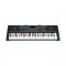 Orga electrica MK-2108, 61 clape ilumintate, 5 octave, USB, Mp3, functie inregistrare, control efecte