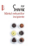Sfantul nebuniilor incipiente - Elif Shafak
