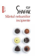 Sfantul nebuniilor incipiente - Elif Shafak