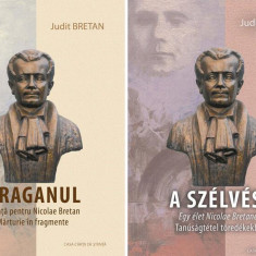 Uraganul. O viaţă pentru Nicolae Bretan. Mărturie în fragmente - Paperback brosat - Judit Bretan - Casa Cărţii de Ştiinţă